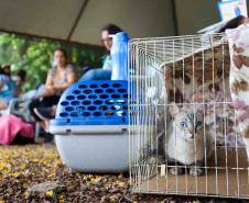 5º ciclo: 84 municípios do Paraná vão receber o programa CastraPet Paraná pela primeira vez