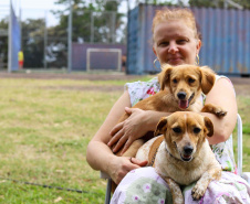 5º ciclo: 84 municípios do Paraná vão receber o programa CastraPet Paraná pela primeira vez