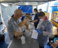 5º ciclo: 84 municípios do Paraná vão receber o programa CastraPet Paraná pela primeira vez