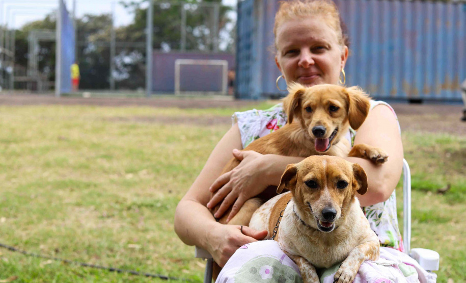 5º ciclo: 84 municípios do Paraná vão receber o programa CastraPet Paraná pela primeira vez