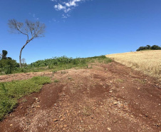 FISCALIZAÇÃO DO IAT APLICOU 8.184 MULTAS POR CRIMES AMBIENTAIS EM 2025