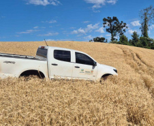 FISCALIZAÇÃO DO IAT APLICOU 8.184 MULTAS POR CRIMES AMBIENTAIS EM 2025