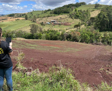 FISCALIZAÇÃO DO IAT APLICOU 8.184 MULTAS POR CRIMES AMBIENTAIS EM 2025