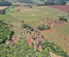 FISCALIZAÇÃO DO IAT APLICOU 8.184 MULTAS POR CRIMES AMBIENTAIS EM 2025