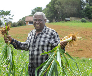 Líder nacional em produtores de orgânicos, Paraná investe para ampliar ainda mais o segmento -