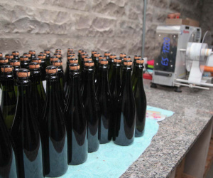 Feito no Paraná - Vinícola RH, em Mariópolis Foto: Ari Dias/AEN