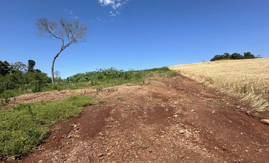 FISCALIZAÇÃO DO IAT APLICOU 8.184 MULTAS POR CRIMES AMBIENTAIS EM 2025