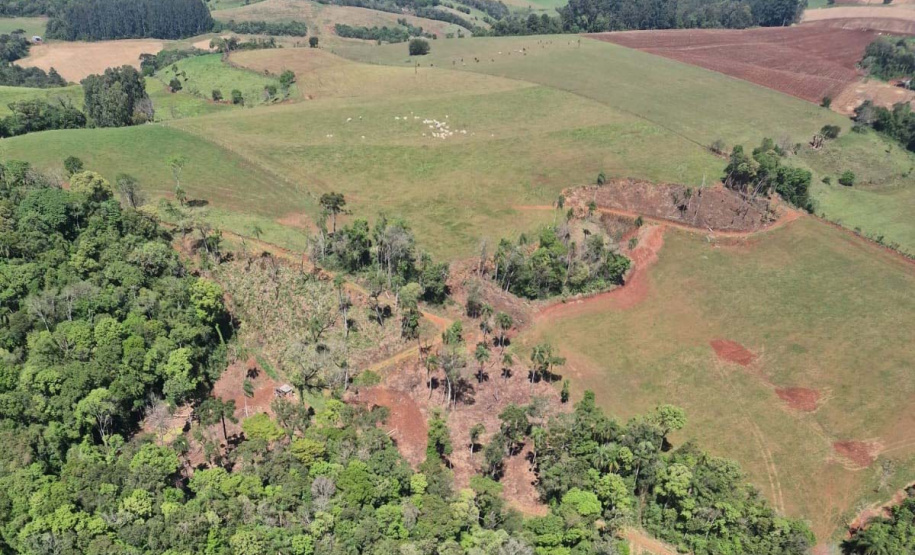 FISCALIZAÇÃO DO IAT APLICOU 8.184 MULTAS POR CRIMES AMBIENTAIS EM 2025