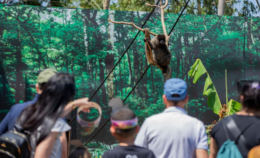 Best of the Best: com Foz do Iguaçu, Paraná marca presença na maior premiação da TripAdvisor